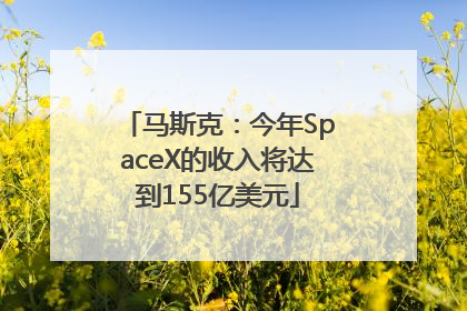 马斯克：今年SpaceX的收入将达到155亿美元