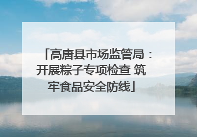 高唐县市场监管局：开展粽子专项检查 筑牢食品安全防线