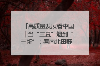 高质量发展看中国｜当“三夏”遇到“三新”：看南北田野里的科技共生记