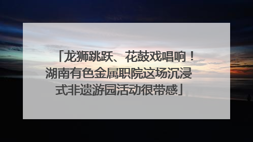 龙狮跳跃、花鼓戏唱响！湖南有色金属职院这场沉浸式非遗游园活动很带感