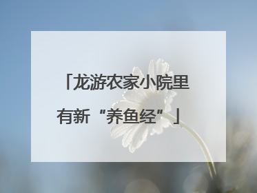 龙游农家小院里有新“养鱼经”