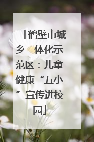 鹤壁市城乡一体化示范区：儿童健康“五小”宣传进校园