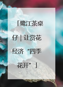 鹭江茶桌仔｜让赏花经济“四季花开”