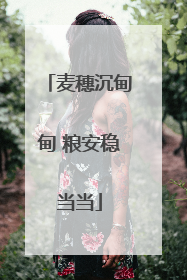 麦穗沉甸甸 粮安稳当当