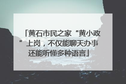 黄石市民之家“黄小政”上岗，不仅能聊天办事还能听懂多种语言