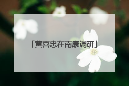 黄喜忠在南康调研
