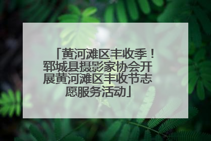 黄河滩区丰收季！郓城县摄影家协会开展黄河滩区丰收节志愿服务活动
