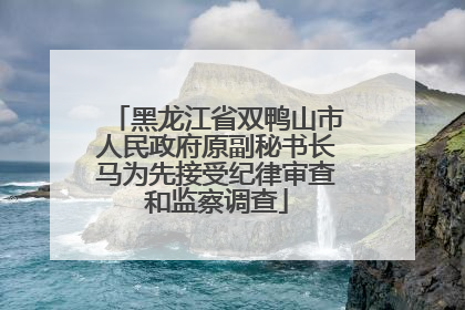 黑龙江省双鸭山市人民政府原副秘书长马为先接受纪律审查和监察调查