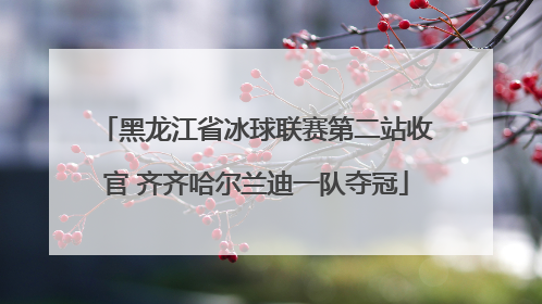 黑龙江省冰球联赛第二站收官 齐齐哈尔兰迪一队夺冠