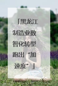 黑龙江制造业数智化转型跑出“加速度”