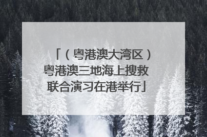 （粤港澳大湾区）粤港澳三地海上搜救联合演习在港举行