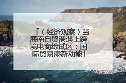 （经济观察）当海南自贸港遇上跨境电商综试区：国际贸易添新动能