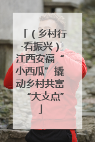 （乡村行·看振兴）江西安福“小西瓜”撬动乡村共富“大支点”