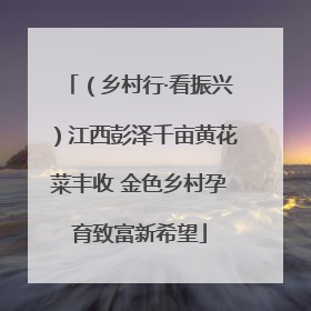 （乡村行·看振兴）江西彭泽千亩黄花菜丰收 金色乡村孕育致富新希望