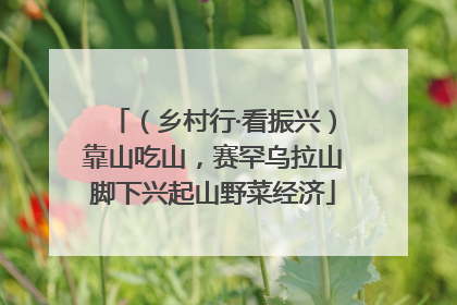 （乡村行·看振兴）靠山吃山，赛罕乌拉山脚下兴起山野菜经济