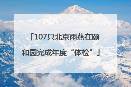 107只北京雨燕在颐和园完成年度“体检”