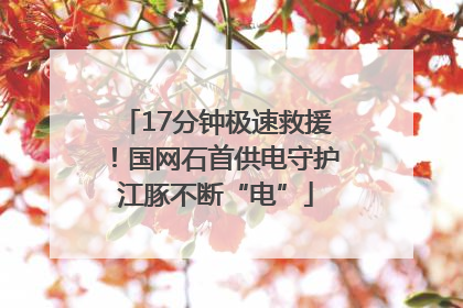 17分钟极速救援！国网石首供电守护江豚不断“电”