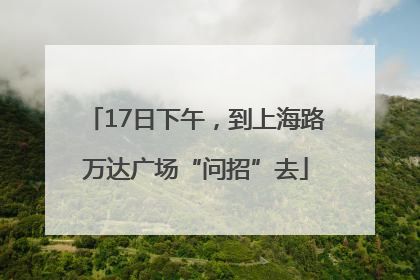 17日下午，到上海路万达广场“问招”去