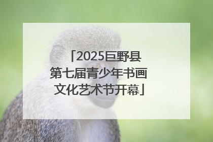 2025巨野县第七届青少年书画文化艺术节开幕