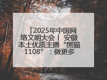 2025年中国网络文明大会丨 安徽本土优质主播“熊猫1108”：做更多正能量的事情 带给大家快乐