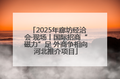 2025年廊坊经洽会·现场丨国际招商“磁力”足 外商争相向河北推介项目