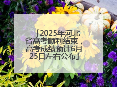 2025年河北省高考顺利结束，高考成绩预计6月25日左右公布