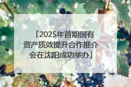 2025年首期国有资产质效提升合作推介会在沈阳成功举办