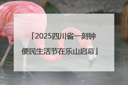 2025四川省一刻钟便民生活节在乐山启幕