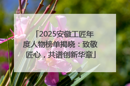2025安徽工匠年度人物榜单揭晓：致敬匠心，共谱创新华章