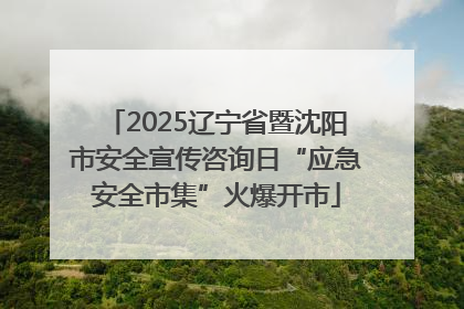 2025辽宁省暨沈阳市安全宣传咨询日“应急安全市集”火爆开市