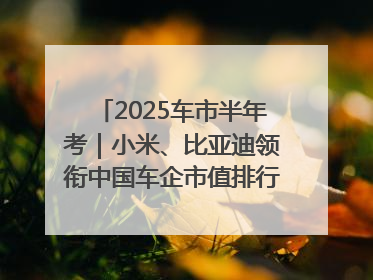 2025车市半年考｜小米、比亚迪领衔中国车企市值排行榜 保时捷跌出全球TOP10