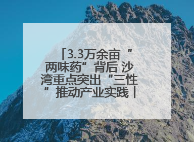 3.3万余亩“两味药”背后 沙湾重点突出“三性”推动产业实践丨新闻发布最前线