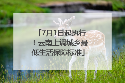 7月1日起执行！云南上调城乡最低生活保障标准