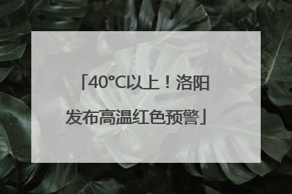40°C以上！洛阳发布高温红色预警