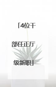 4位干部任正厅级新职