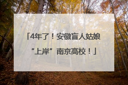 4年了！安徽盲人姑娘“上岸”南京高校！
