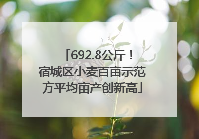 692.8公斤！宿城区小麦百亩示范方平均亩产创新高
