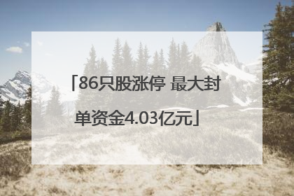 86只股涨停 最大封单资金4.03亿元