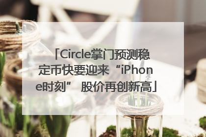 Circle掌门预测稳定币快要迎来“iPhone时刻” 股价再创新高