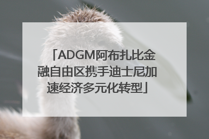 ADGM阿布扎比金融自由区携手迪士尼加速经济多元化转型