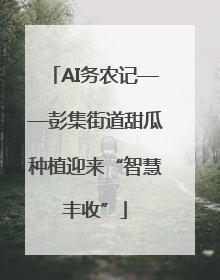 AI务农记——彭集街道甜瓜种植迎来“智慧丰收”