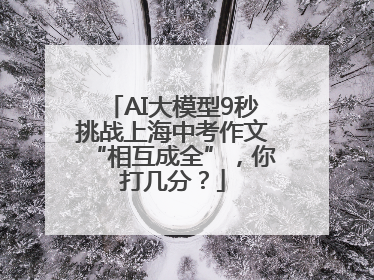 AI大模型9秒挑战上海中考作文“相互成全”，你打几分？