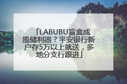 LABUBU盲盒成揽储利器？平安银行新户存5万以上就送，多地分支行跟进