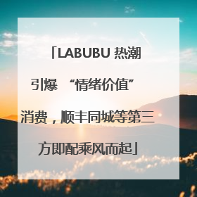 LABUBU 热潮引爆 “情绪价值” 消费，顺丰同城等第三方即配乘风而起