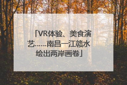 VR体验、美食演艺……南昌一江赣水绘出两岸画卷